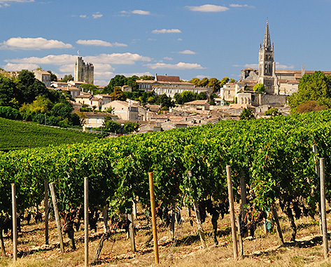 DÉCOUVERTE DE BORDEAUX ET DE SON VIGNOBLE