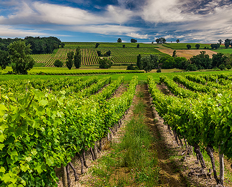 GASCOGNE GOURMANDE